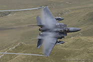 F-15E Strike Eagle