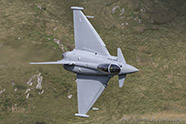 Typhoon FGR.4